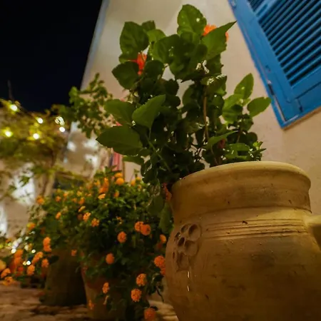 Il Cortiletto Appartement *